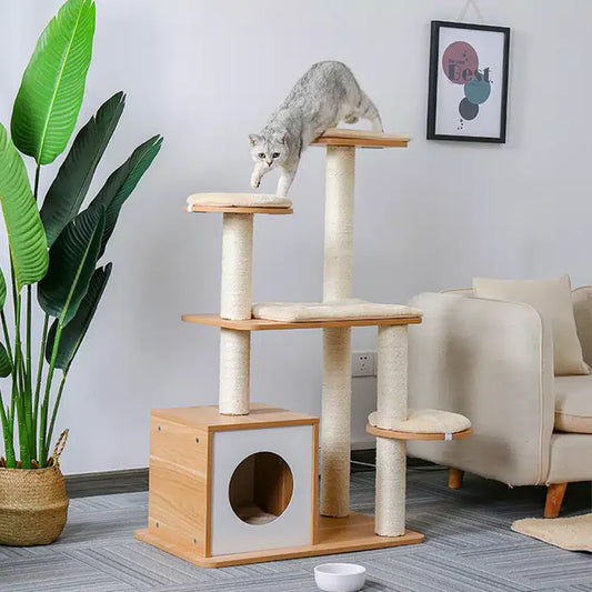 How to Create the Perfect Cat-Friendly Home