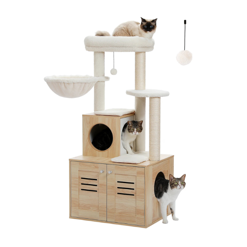 Cat Furniture & Accessories